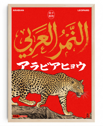 Arabian Leopard