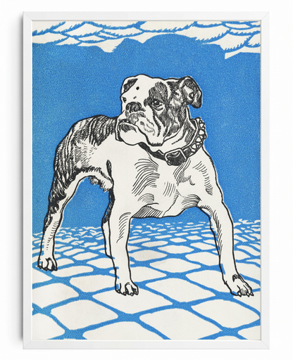 Bulldog