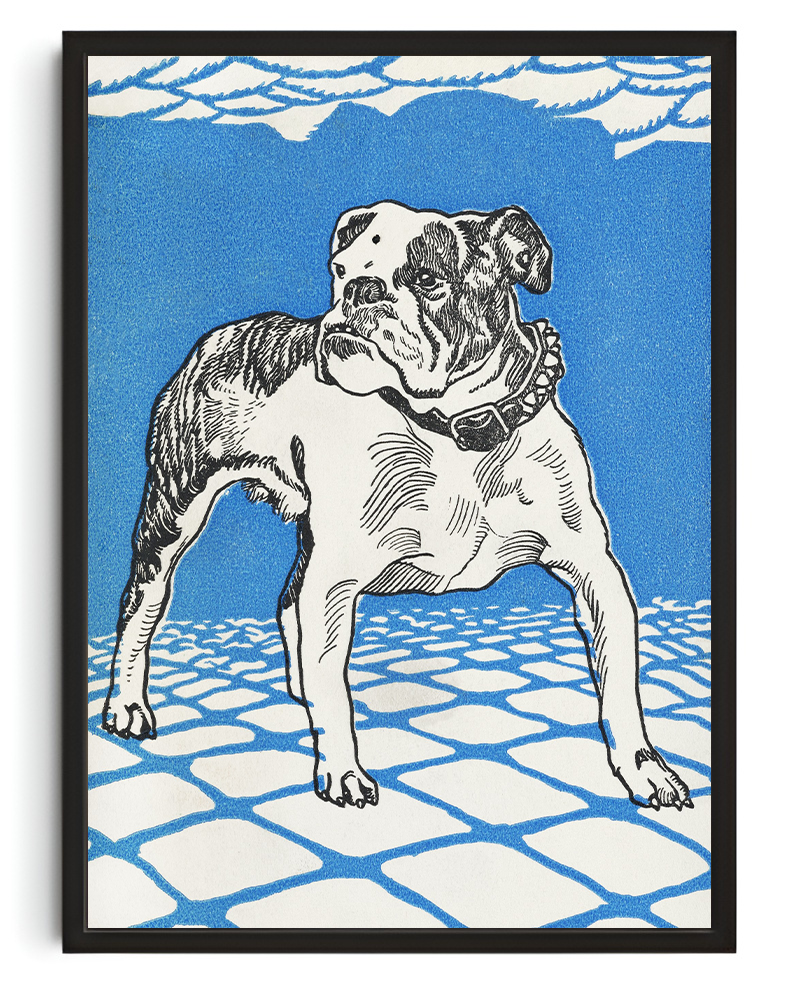Bulldog