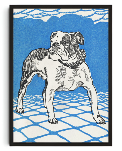 Bulldog