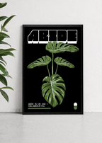 Abide