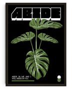 Abide