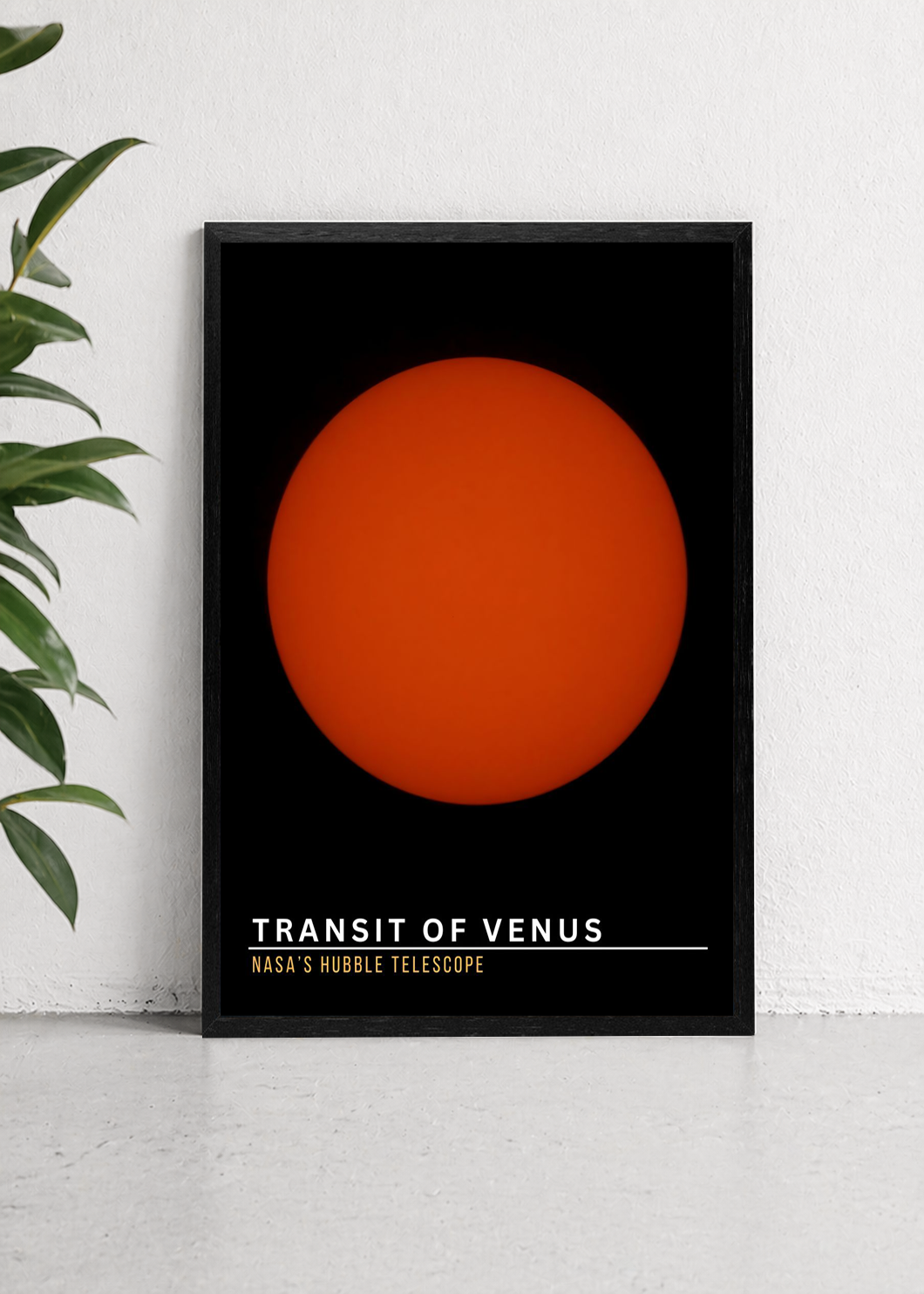 Transit Of Venus