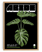 Abide
