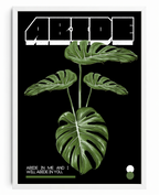 Abide